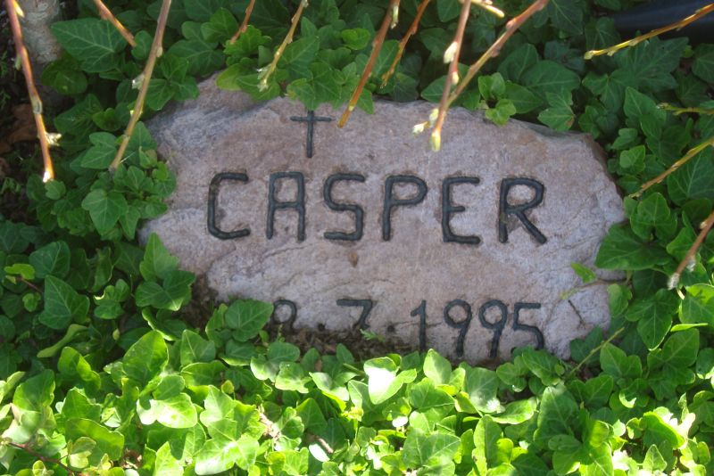 Casper.JPG