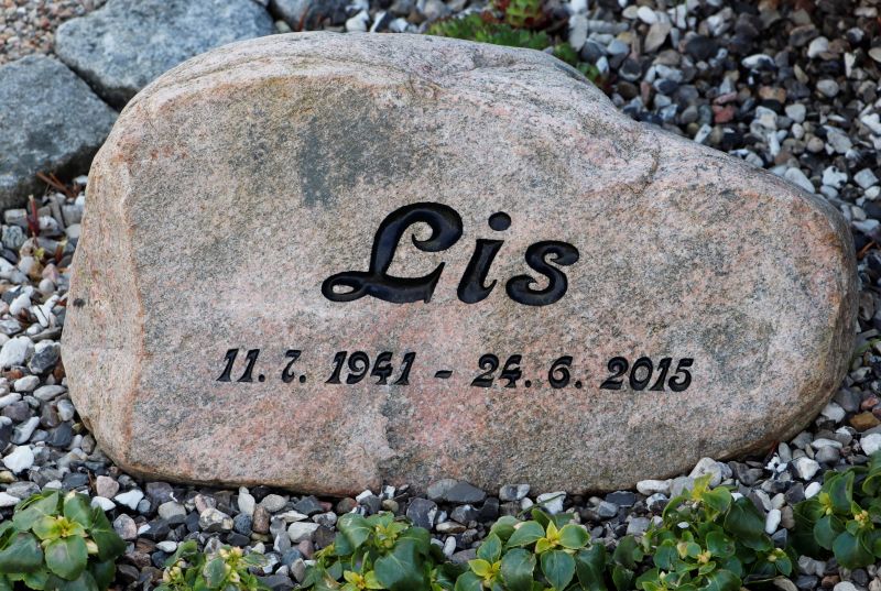 Lis.JPG