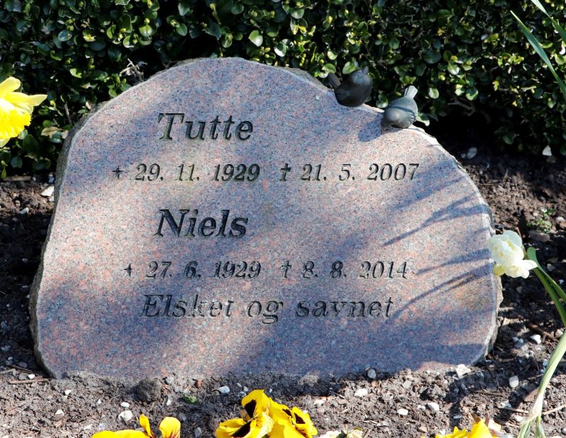 Tutte.JPG