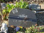 Alba.JPG