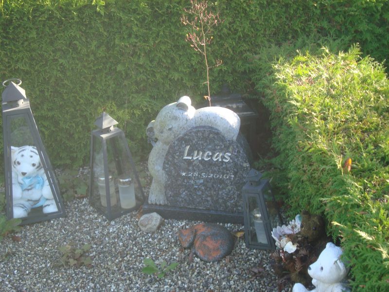 Lucas.JPG