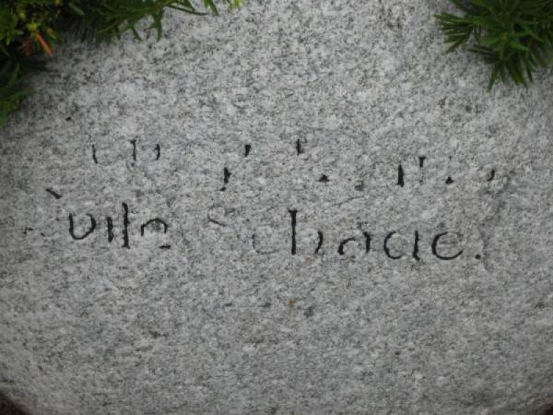 Schade2.jpg