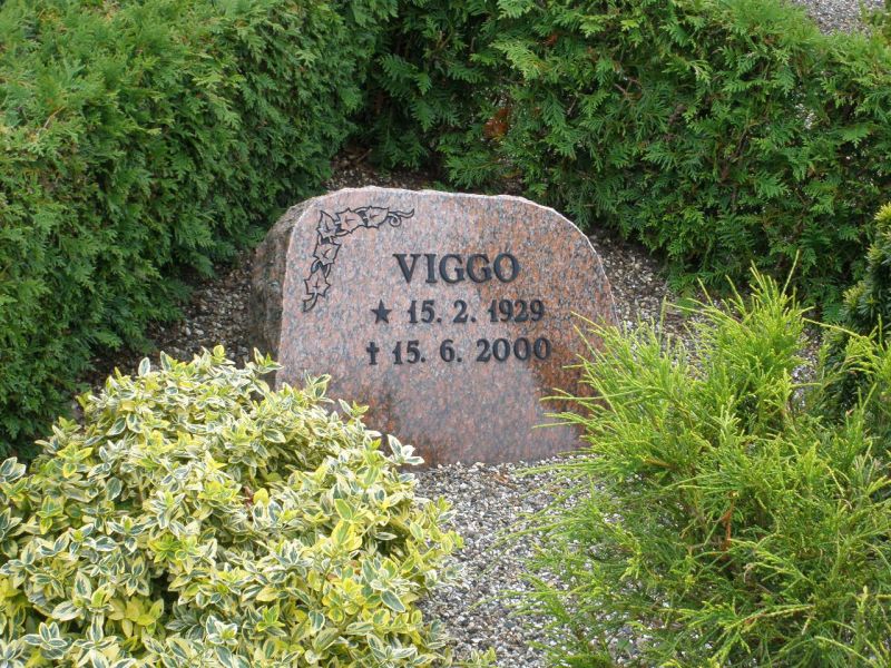 Viggo.JPG