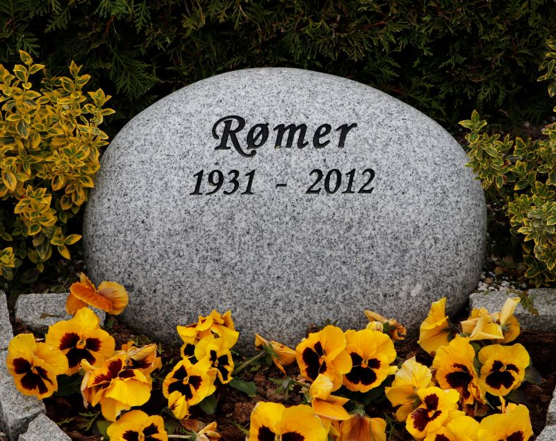 Roemer.JPG