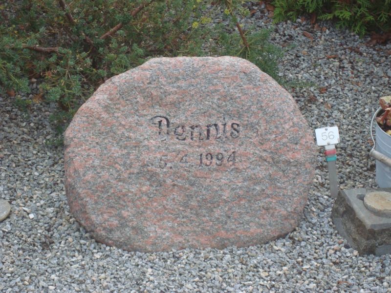 Dennis.JPG