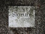 Sigrun.jpg