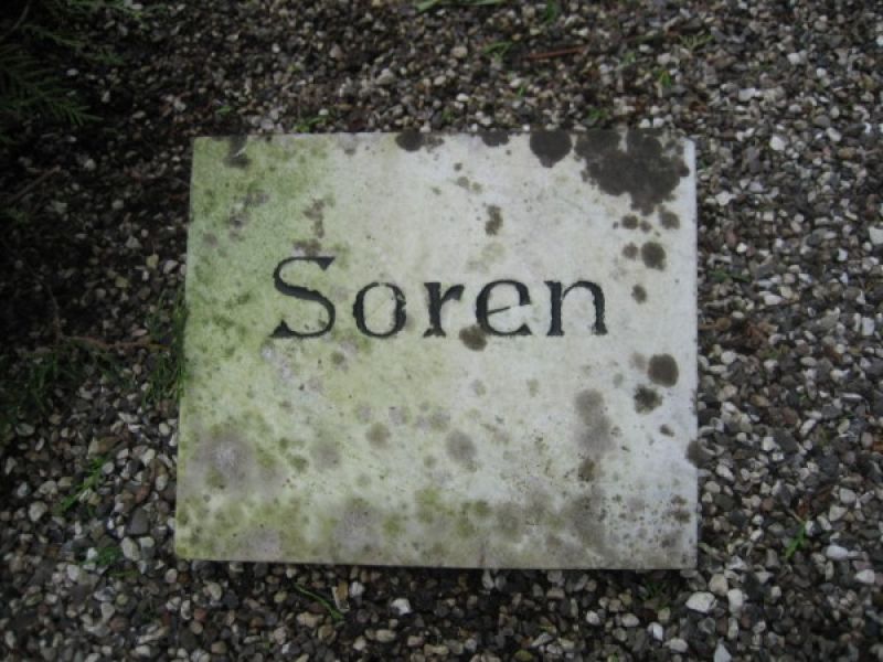 Soren.jpg