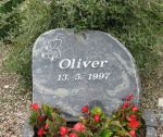 Oliver.jpg