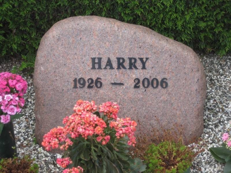 Harry.jpg