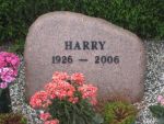 Harry.jpg