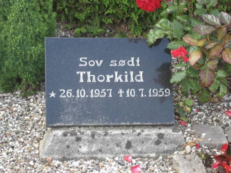 Thorkild.jpg