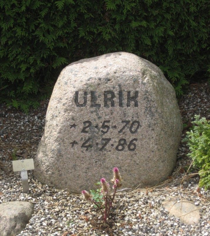 Ulrik.jpg