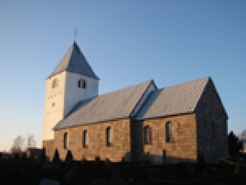 vivild.jpg
