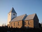 Vivild