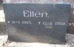 Ellen.jpg